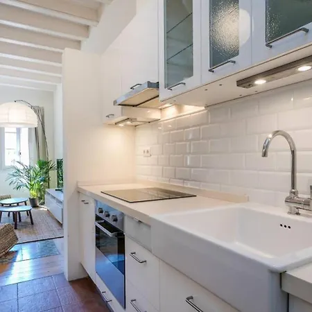 Luxurious With Awesome Rooftop Barcelona