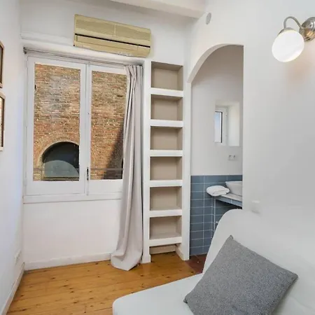 Apartment Historical With Awesome Rooftop
